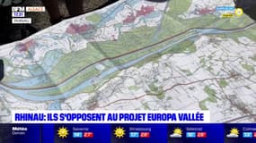 Rhinau: des habitants s'opposent au projet Europa Vallée