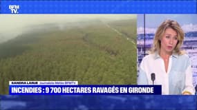 Incendies : qu'en est-il des conditions météo ? - 16/07