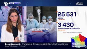Coronavirus: 330 décès en 24 heures, 25 531 morts au total - 05/05