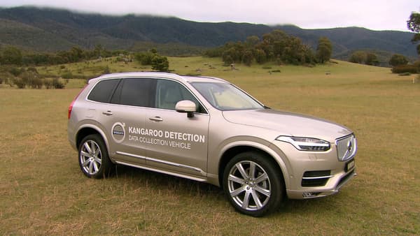 Un véhicule en mission pour Volvo depuis 2015 afin de mieux reconnaître les kangourous, à l'origine de nombreux accidents sur les routes d'Australie chaque année 