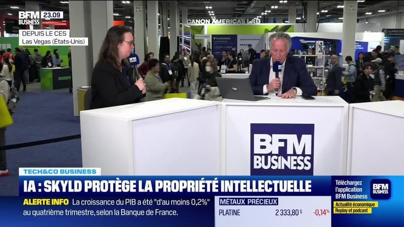 IA : Skild protège la propriété intellectuelle - 13/01