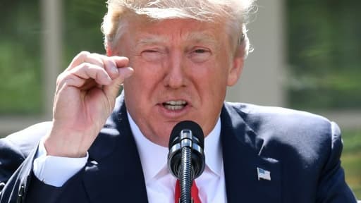 Donald Trump le 1er juin 2017 à la Maison Blanche à Washington