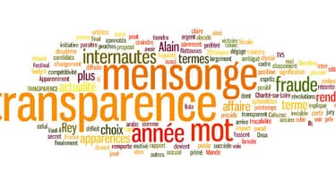 "Mensonge" et "transparence" ont été élus mot de l'année par les internautes et un jury de professionnels.