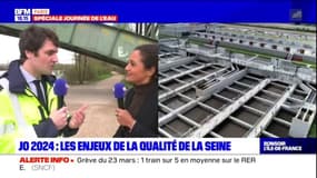 Île-de-France: comment rendre la Seine et la Marne baignables à l'horizon des JO 2024?