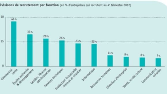Seules 49% des entreprises prévoient de recruter au moins un cadre au dernier trimestre 2012, selon l'Apec. Seules 49% des entreprises prévoient de recruter au moins un cadre au dernier trimestre 2012, selon l'Apec.