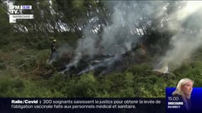 Aude: près de 300 hectares détruits par l'incendie dans le massif de la Clape