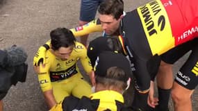 Roglic