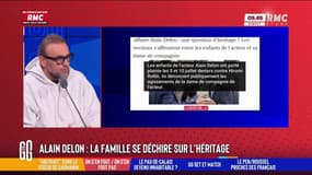 Héritage tendu pour la famille Delon