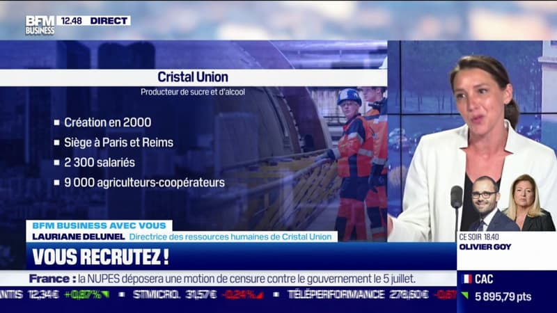 On recrute ! Cristal Union : producteur de sucre et d'alcool