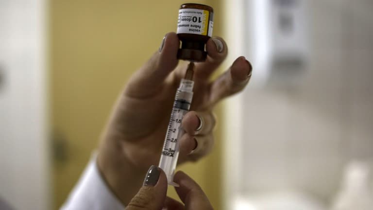 Les pays d'Amérique du Sud sont fréquemment exposés à des épidémies de fièvre jaune (Ici au Brésil en début d'année 2018)