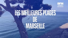 Les Catalans, le Prado, Corbières...les meilleures plages de Marseille