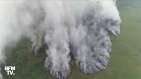 Des feux de forêts se déclarent en Sibérie, alors que la région connaît des records de température