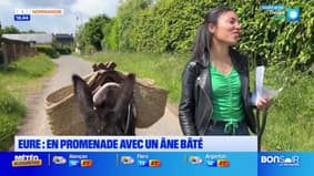 Bonsoir Normandie du lundi 1er septembre 2025