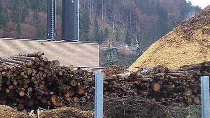 La biomasse, énergie d'un nouveau type de centrale éléctrique