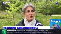 Alpes-de-Haute-Provence: 19 fermes ont ouvert leurs portes au public ce week-end