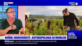 Ecologie dans le Rhône: "il faut que l'on passe à la vitesse supérieure"