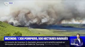 Incendie dans les Bouches-du-Rhône: 500 hectares ont été ravagés par les flammes, 1300 pompiers mobilisés