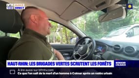 Haut-Rhin: les brigades vertes scrutent les forêts face au risque d'incendie