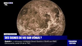 Des signes de vie dans les nuages de Vénus ?