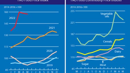 L'évolution des cours mondiaux des denrées alimentaires.