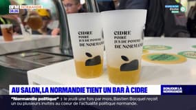 Salon de l'agriculture: la Normandie tient un bar à cidre