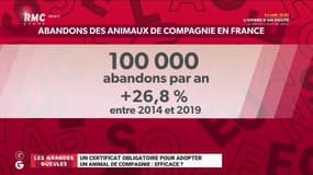 Un certificat obligatoire pour adopter un animal de compagnie serait-il efficace ? - 22/12