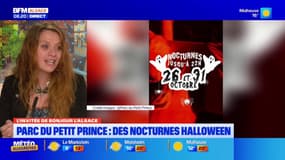 Haut-Rhin: des nocturne spéciales Halloween au parc du Petit prince