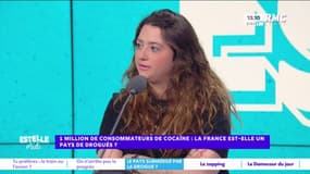 Consommation de cocaïne : "En entrant dans le milieu du travail, j'ai été confrontée à la cocaïne", avoue Elise Goldfarb