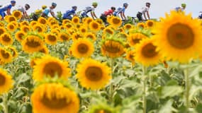 Peloton Tour de France