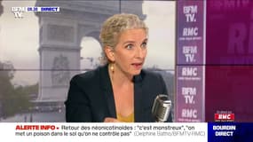 Néonicotinoïdes: Delphine Batho explique pourquoi "ce qui est en train de se passer est monstrueux" 