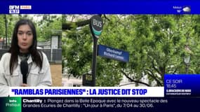 "Ramblas parisiennes": la justice dit stop, la ville se pourvoit devant le Conseil d'État