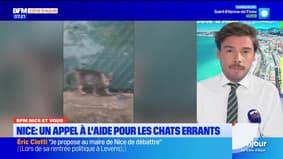 Bonjour la Côte d'Azur du jeudi 4 septembre 2025