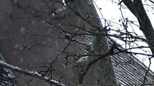 Vague de froid (Photo d'illustration)