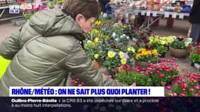 Rhône: avec une météo déréglée, on ne sait plus quoi planter!