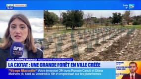 La Ciotat: une forêt en ville bientôt créée
