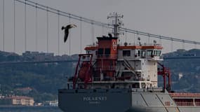 Le navire battant pavillon turc Polarnet transportant des tonnes de céréales en provenance d'Ukraine navigue le long du détroit du Bosphore le 7 août 2022