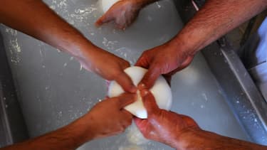 Seule la mozzarella de bufflonne est actuellement reconnue en Campanie.