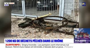 Lyon: 1.200kg de déchets repêchés dans les eaux du Rhône