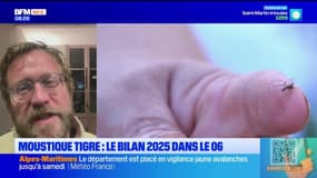 Le journal de 8h du vendredi 28 novembre 2025