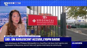 LBD: un adolescent accuse, l'IGPN saisie - 20/07