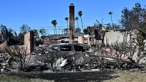 Des maisons calcinées et des voitures brûlées par l'incendie à Altadena, en Californie, le 13 janvier 2025. 