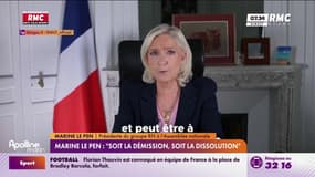 Marine Le Pen : "Soit la démission, soit la dissolution" 