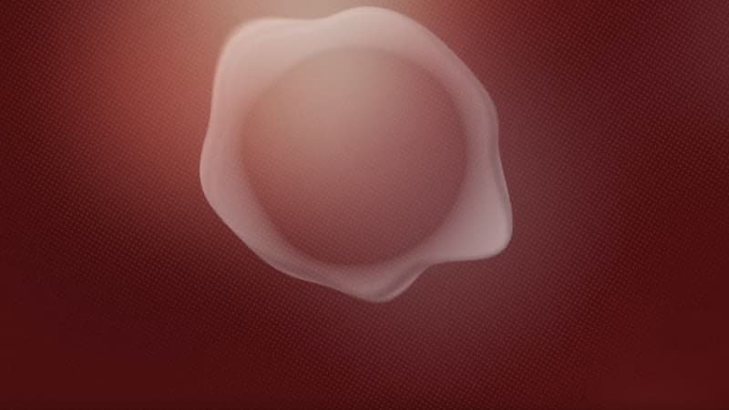 La voix de Q ne peut être associée ni à un homme, ni à une femme.