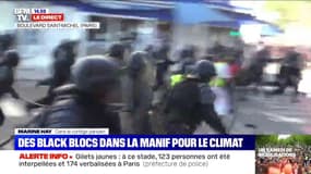 Marche pour le climat: situation tendue, les manifestants font demi-tour