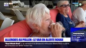 Allergies au pollen: le Var placé en alerte rouge