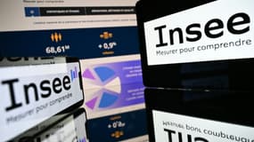 L'Insee analyse tous les aspects de la situation économique française.