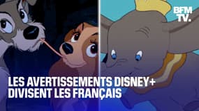 58% des Français désapprouvent les avertissements liés aux clichés racistes sur Disney+