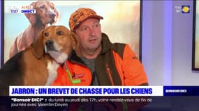 Dans le Jabron, un brevet organisé pour les chiens de chasse