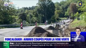 Forcalquier: l'abattage d'arbres pour la voie verte pointé du doigt par les habitants