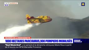 Incendie de la Montagnette: 1205 hectares parcourus, 900 pompiers mobilisés